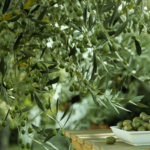 certified origins olive oil banner