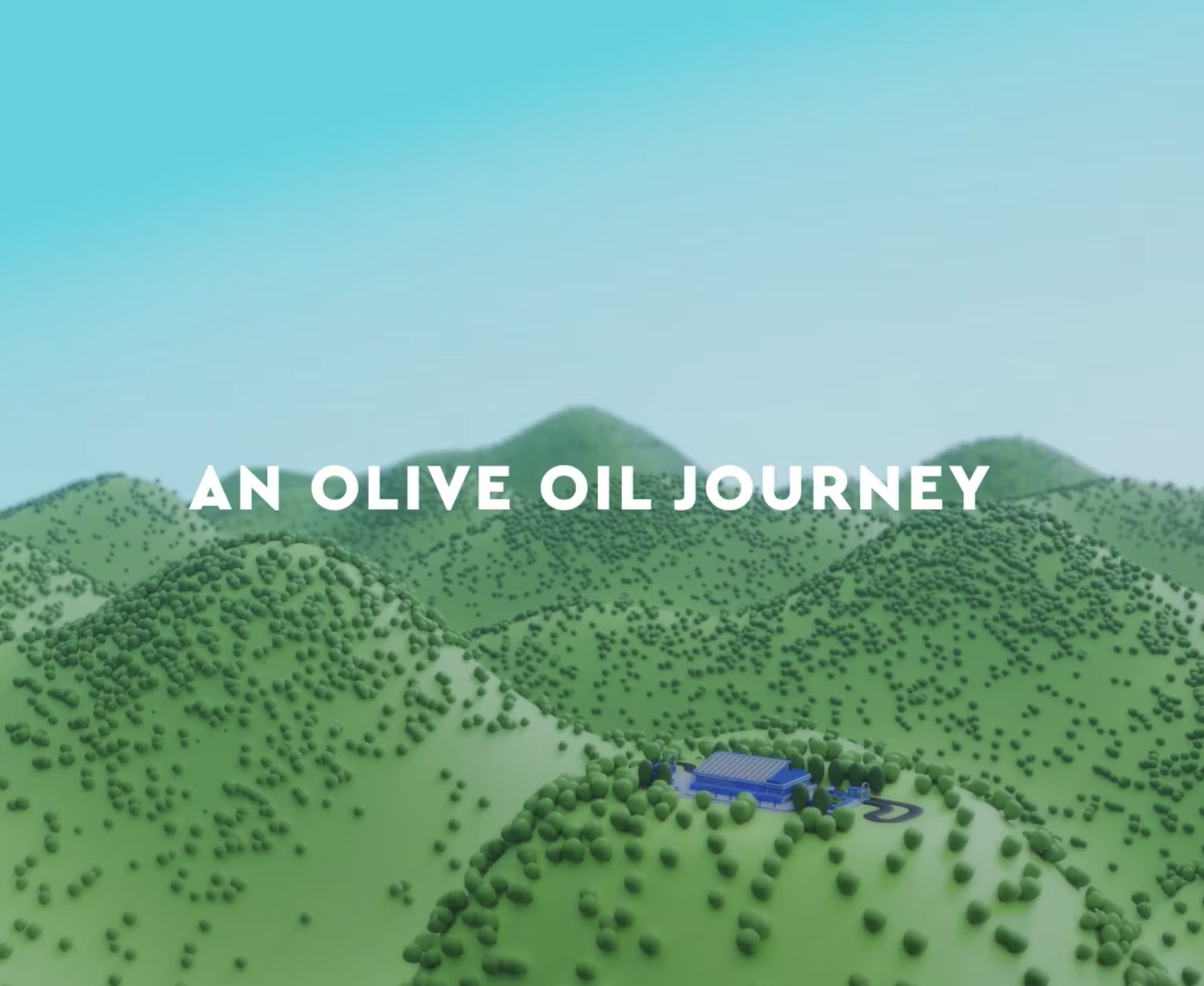 Certified Origins - An Olive Oil Journey - Video