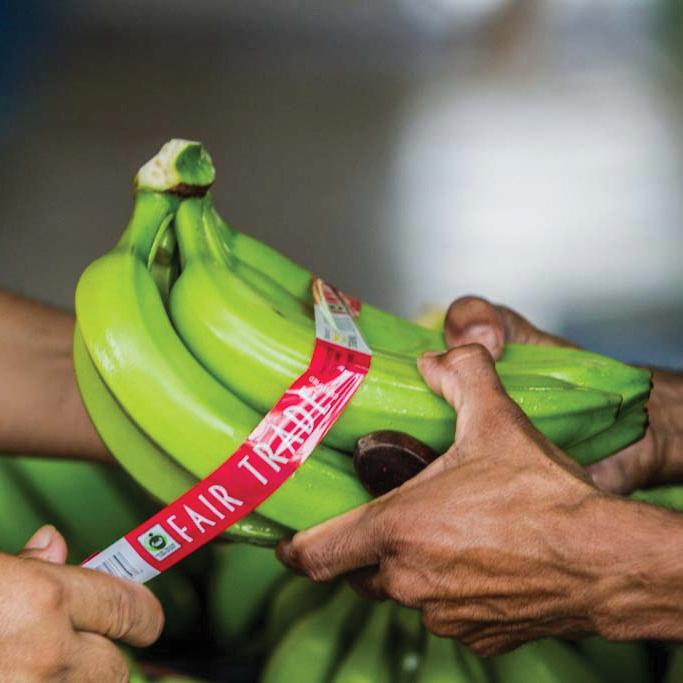 Fair Trade Certified Bananas, Bananeras de Urabá SA