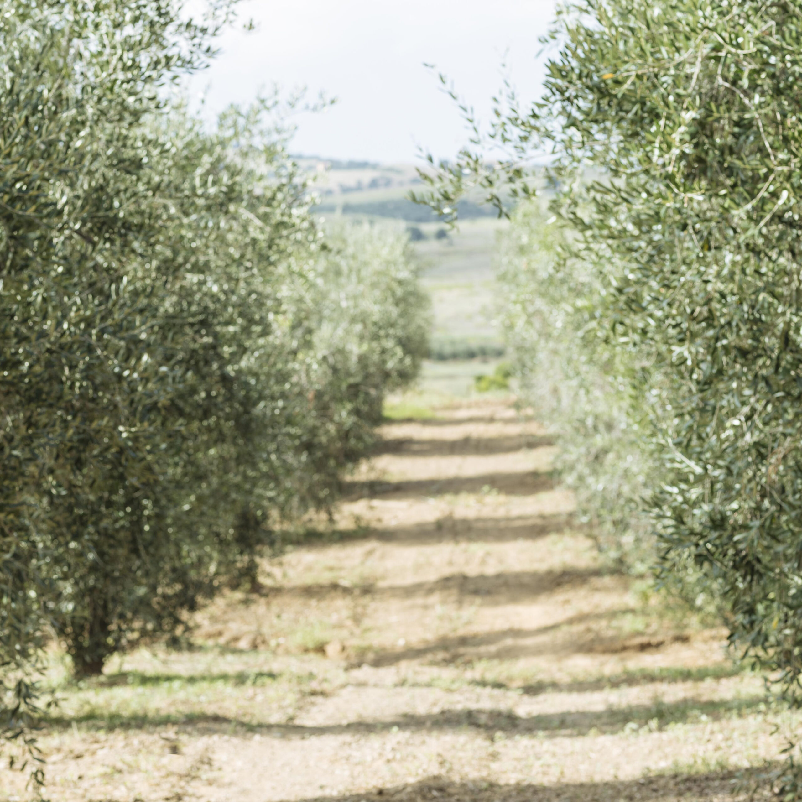 Sustainability in private label