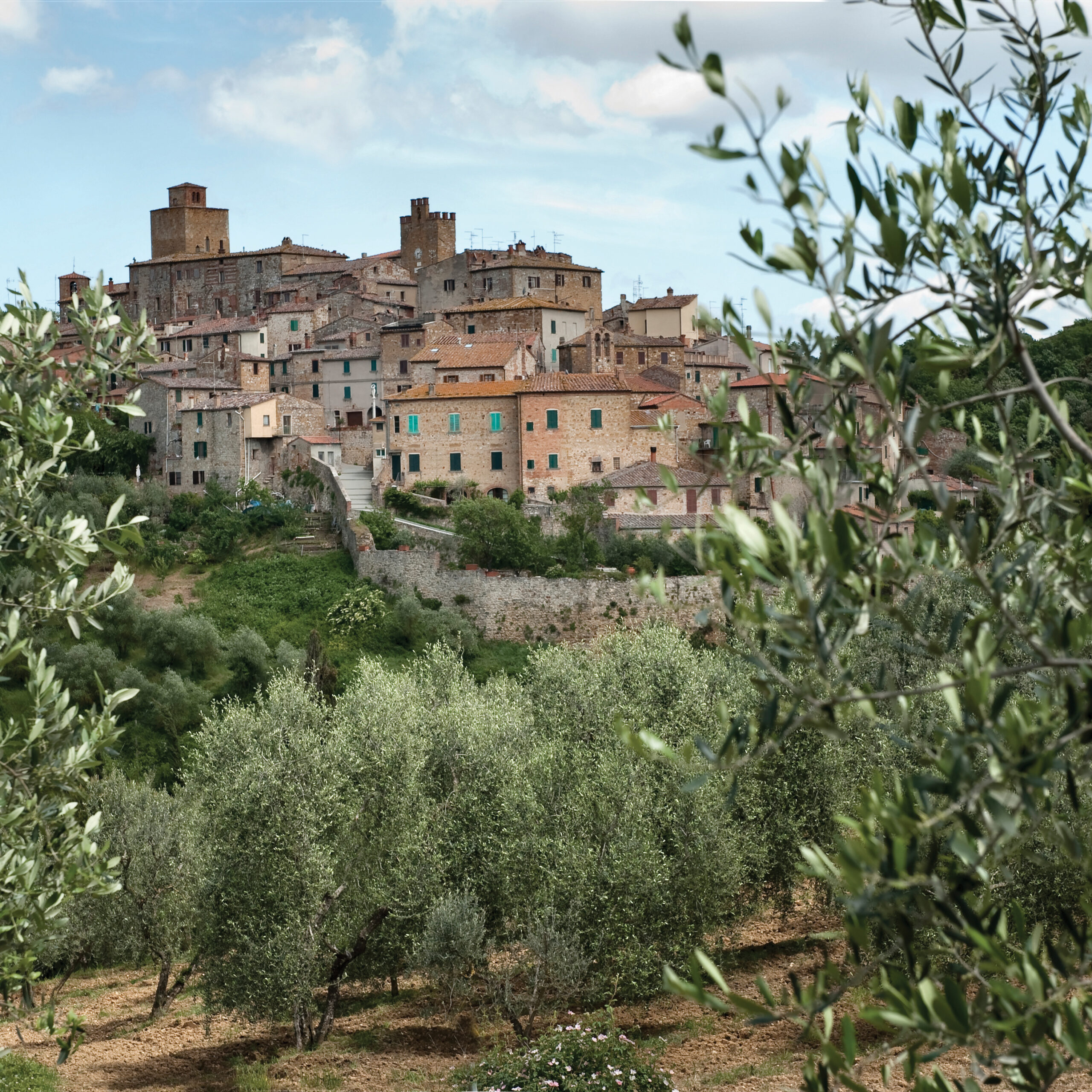 Toscano PGI Extra Virgin Olive Oil Consortium