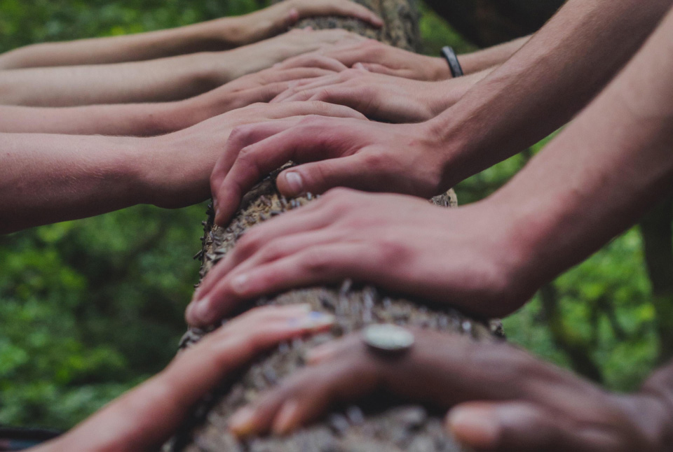 hands on tree