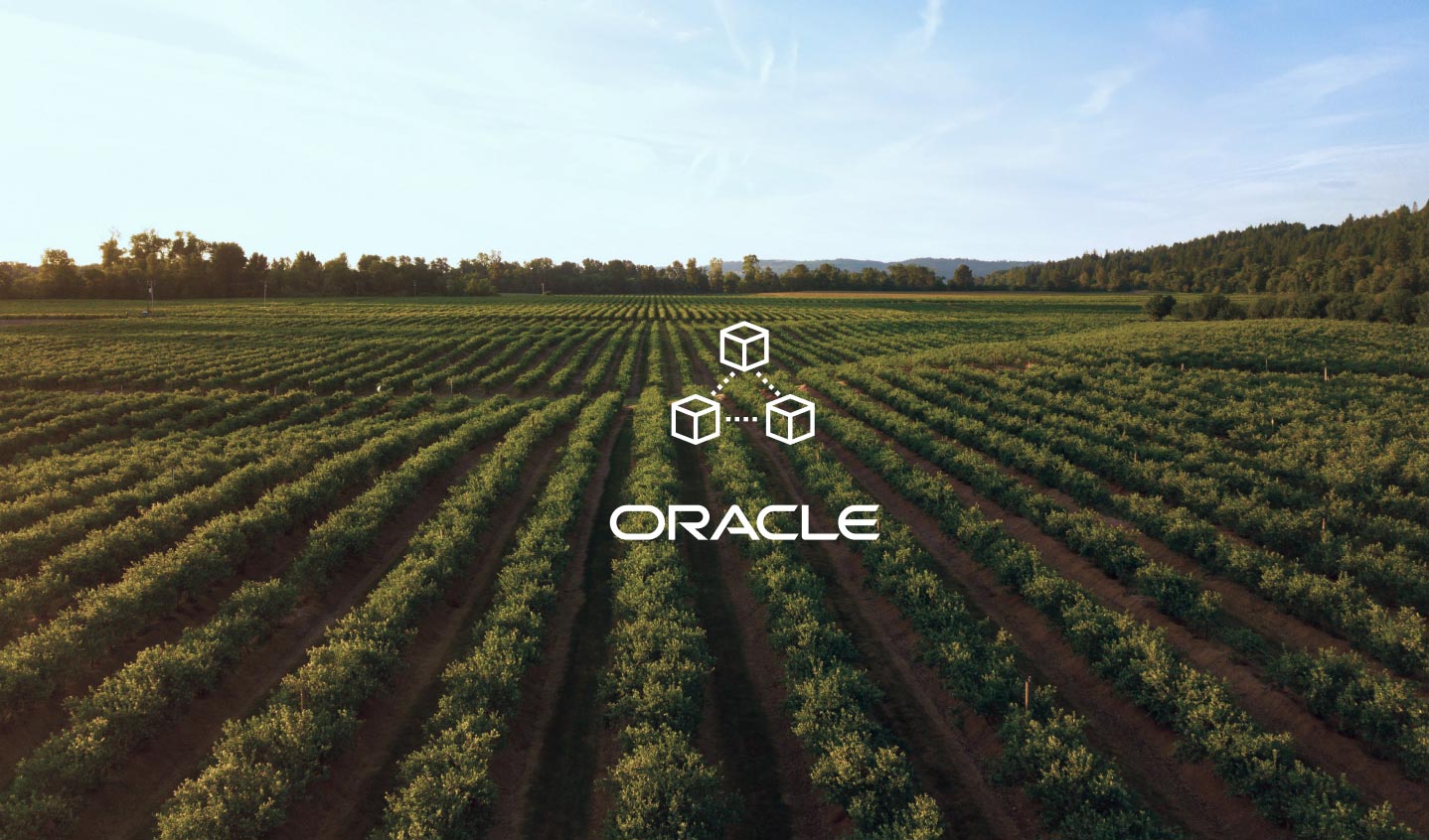 Certified Origins Oracle blockchain
